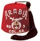 Custom Fez