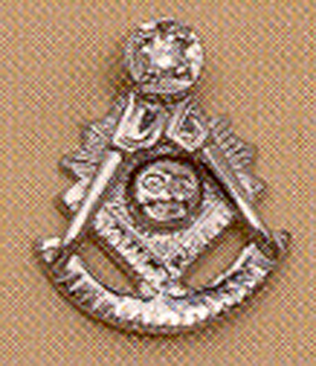 Past Master Lapel Button in 10K WG with diamond