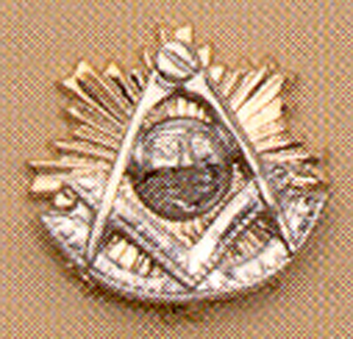 Past Master Lapel Button in 14K YG & WG
