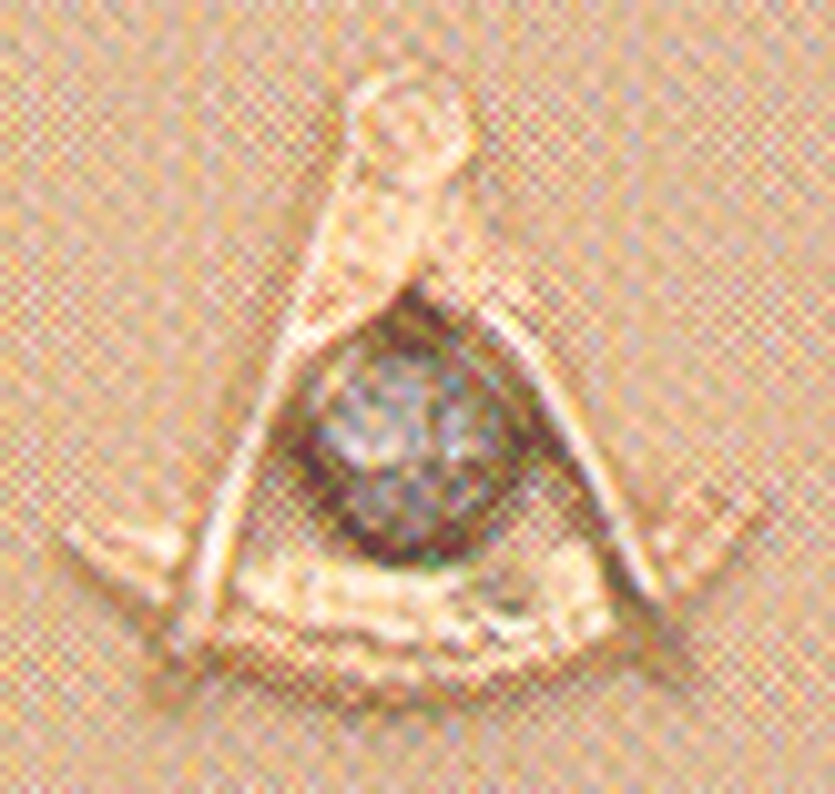 Past Master Lapel Button in 14K YG & WG