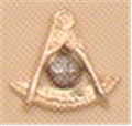 Past Master Lapel Button in 14K YG & WG