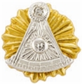 Past Master Lapel Button in 10K YG & WG with diamond