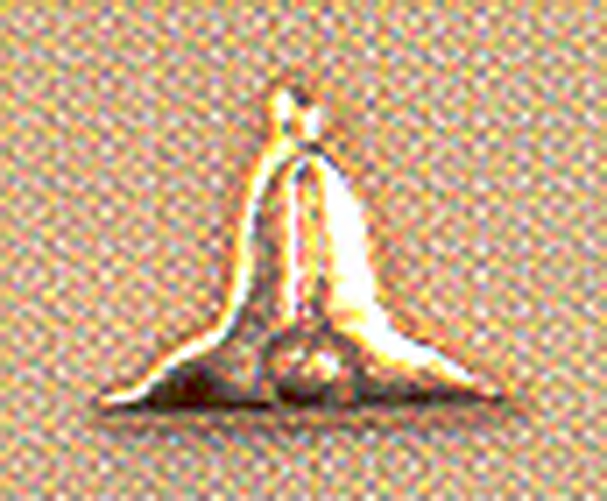 Senior Warden Level Lapel Button  in 10K