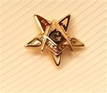 Eastern Star Patron Lapel Button in 14K YG with colored enamel 