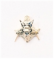 Eastern Star Patron Lapel Button in 14K YG with colored enamel 