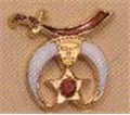 Shrine Lapel Button in gold tone and color enamel