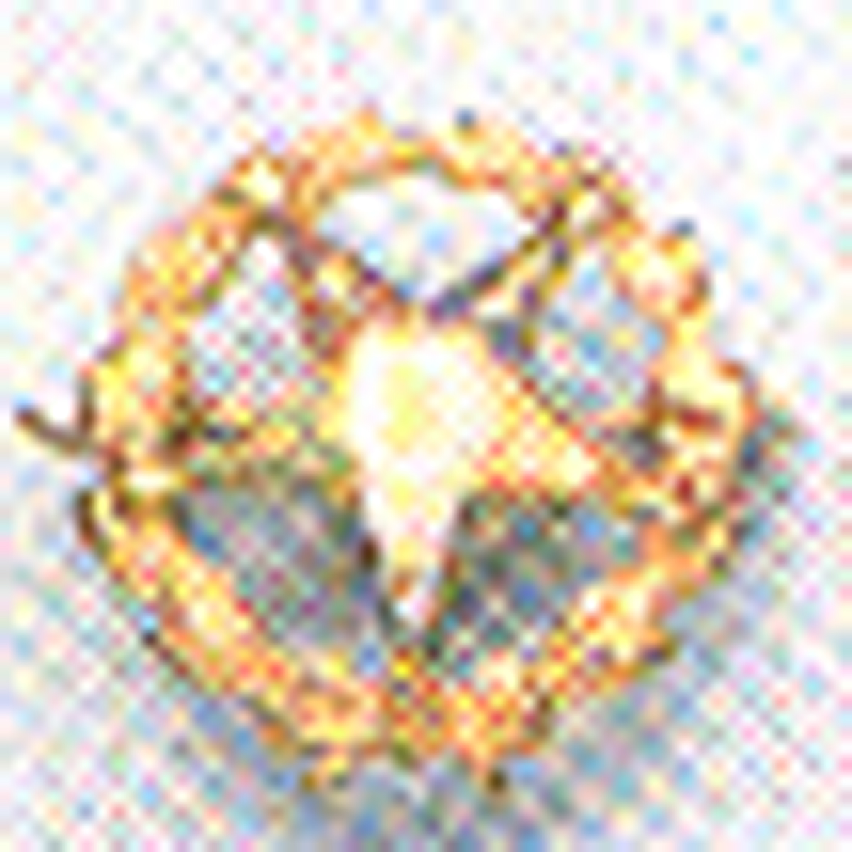 O.E.S. . Member Pin 10k Gold