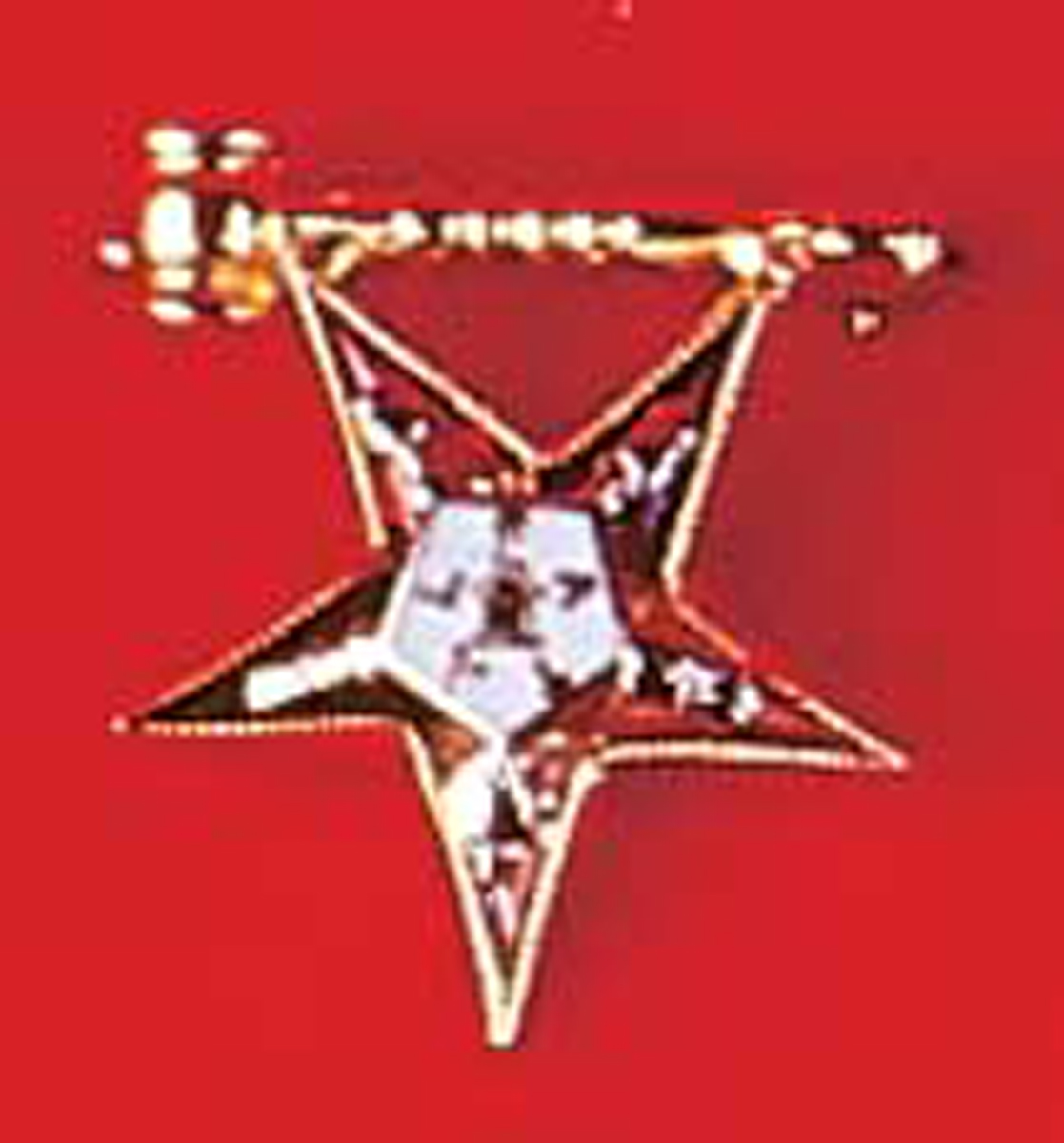 O.E.S. . Past Matron 10K Gold Pin