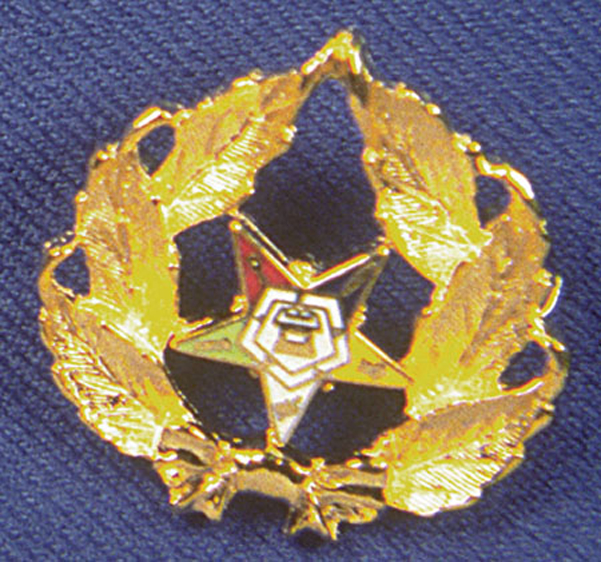 O.E.S. . Leaf Pin