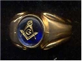 Occasional Wear Fraternal Rings