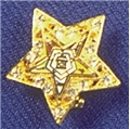 Gold tone OES Star Shaped Pin with Enamel Star and Rhinestones