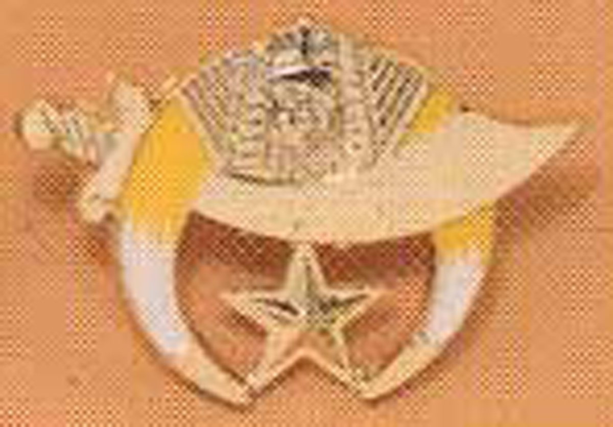 Shrine metal auto emblem