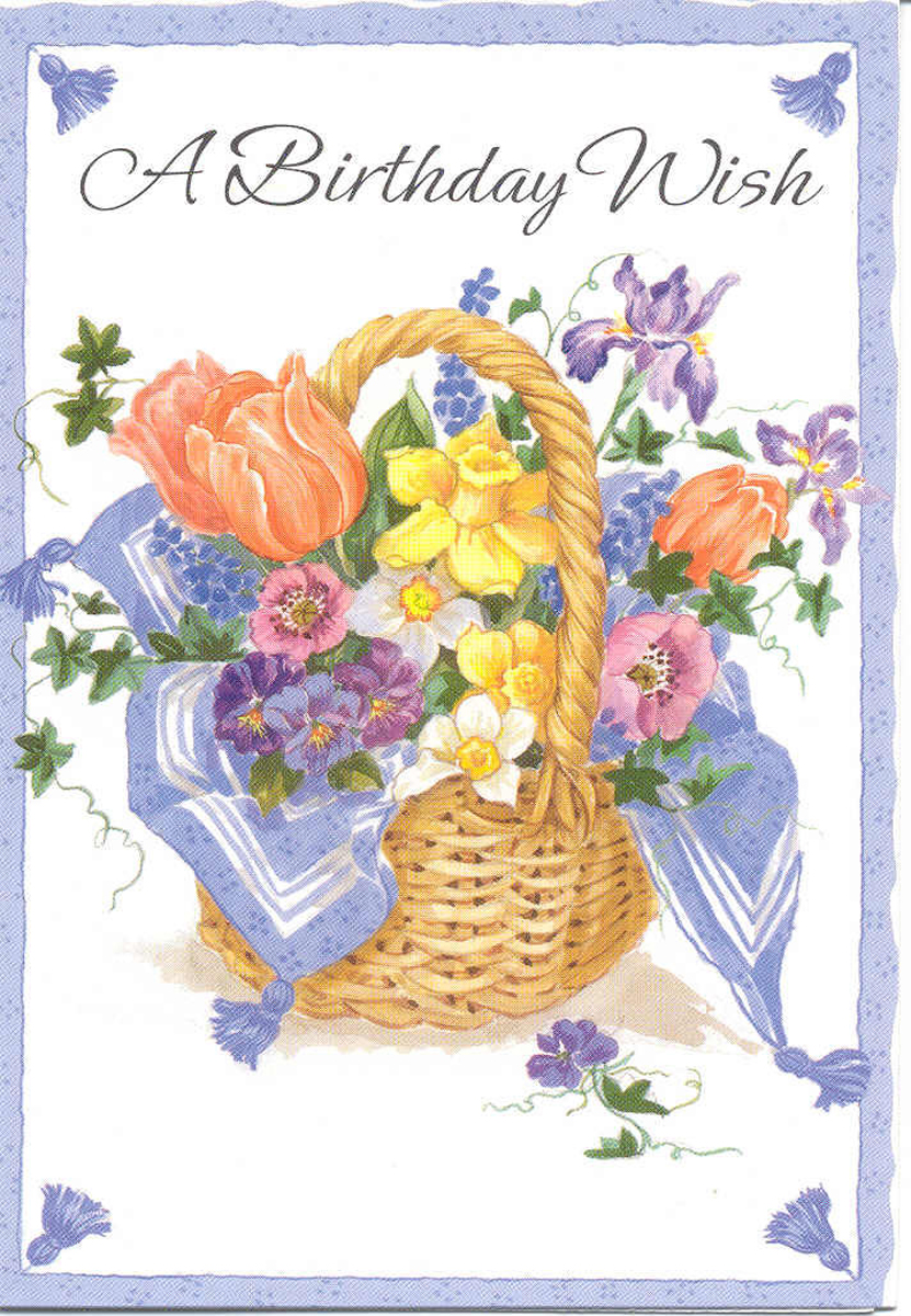 Birthday Card- A Birthday Wish