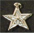 OES Assoc. Patron Charm Silvertone