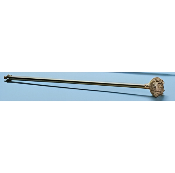 Eastern Star and Fraternal Scepter in silver tone with white stones