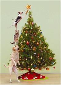 Christmas - Animals trimming Christmas Tree
