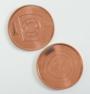 Chapter Pennies