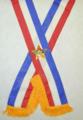 Flag Bearer Lined Ribbon Sash