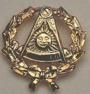 Past Master / PDDGM lapel Button in 10K YG