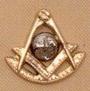 Past Master Lapel Button in 14K YG & WG