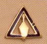 Royal & Select Masters Council Lapel Button in 10K YG and purple enamel