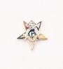 Eastern Star Patron Lapel Button in 14K YG with colored enamel and 1 pt diamond