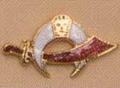 Shriner Lapel Pins