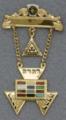 Past High Priest jewel. Gold Filled.  One bar for engraving with hanging triangle with triple tau with case.