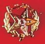 O.E.S. . Past Matron 10K Gold Pin with Gavel at Top