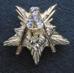 Officer Pins