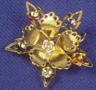 O.E.S. . Five colored Jeweled Pin