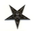 Chrome plated plastic auto emblem OES