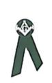 Mourning Badges