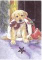 Christmas - Christmas Puppy 