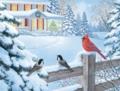 Christmas - Cardinals Christmas Card