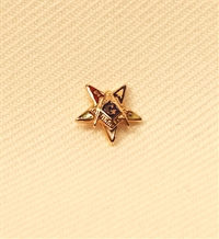 Eastern Star Patron Lapel Button in 14K YG with colored enamel 