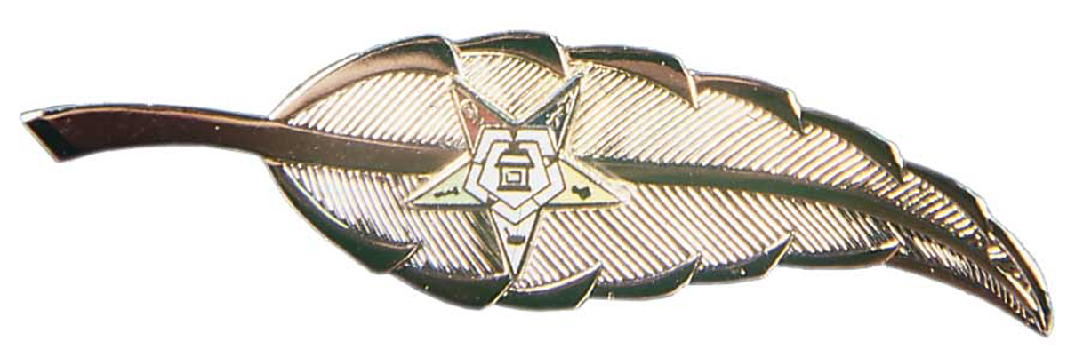 OES Feather Pin