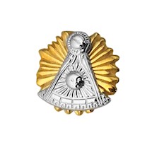 Past Master Lapel Pin  10K YG & WG