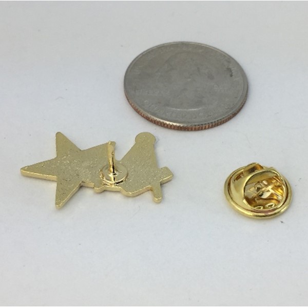 Masonic/OES pin with enamel color