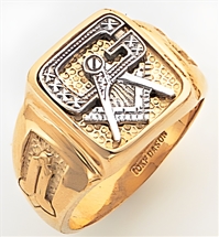 Gold Masonic Ring Open Back 3190