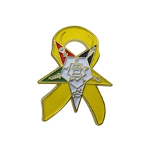 OES support troops pin