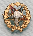 O.E.S.  Member Pin with Stone Points
