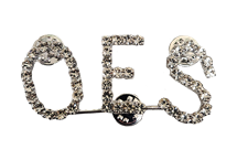 OES Rhinestone Pin