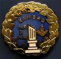 Widow's with Salute Pin