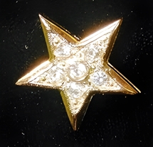 OES Assoc. Patron Charm Goldtone