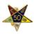 OES 50 year service pin
