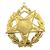 OES Past Grand Matron /Patron Jewel with Wreath