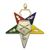 OES Officer Jewels Enameled - Set of 18