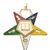 Order of the Eastern Star Chaplain officer jewel with enameled gold-tone finish
