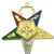 Order of the Eastern Star Worthy Patron officer jewel with enameled gold-tone finish